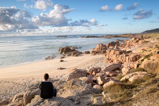 Private Costa de la Muerte and Cabo Finisterre Tour - Why This Tour Offers Great Value