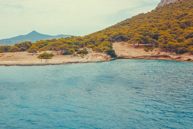 Private cruise: AEGINA ISLAND - MOLI ISLET - PERDIKA - Analyzing the Price and Overall Value