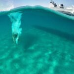 Private Cruise: PAROS  DELOS  RHENIA - MYKONOS - The Experience: Why It Works