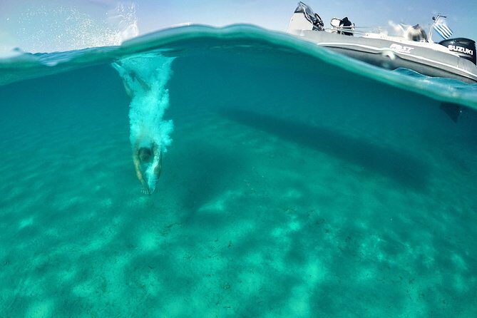 Private Cruise: PAROS  DELOS  RHENIA - MYKONOS - The Experience: Why It Works