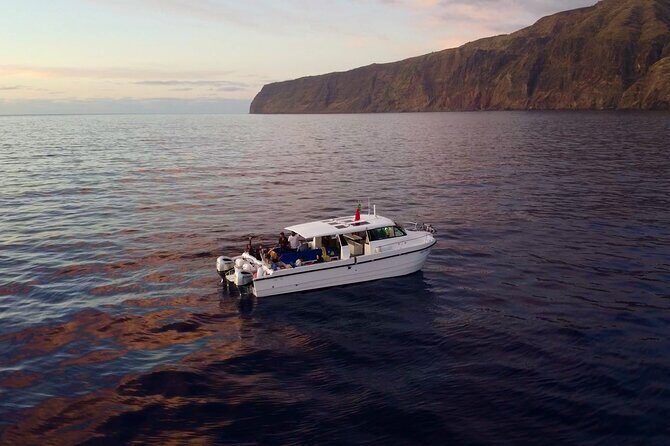 Private Cruise to Calheta and Caniçal Coasts - Why a Private Cruise Might Be Just Right for You