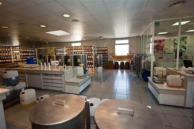 Private Customized French Riviera Tour from Port Villefranche 6H - Who Is This Tour Best For?