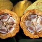 Private Dark Chocolate Tasting Tour in Paris - A Deep Dive into the Chocolate Tasting Experience