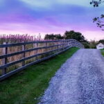 Private Day Tour from Florence to Pisa, Chianti and San Gimignano - Who Would Love This Tour?