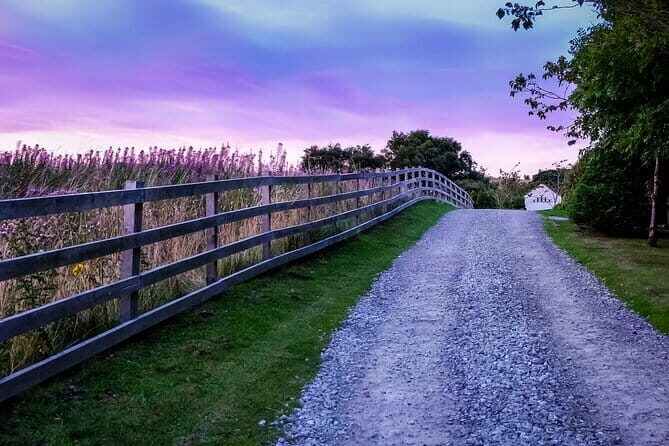 Private Day Tour from Florence to Pisa, Chianti and San Gimignano - Who Would Love This Tour?