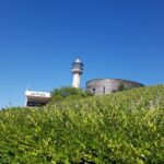 Private day tour in Champagne - The Itinerary Breakdown