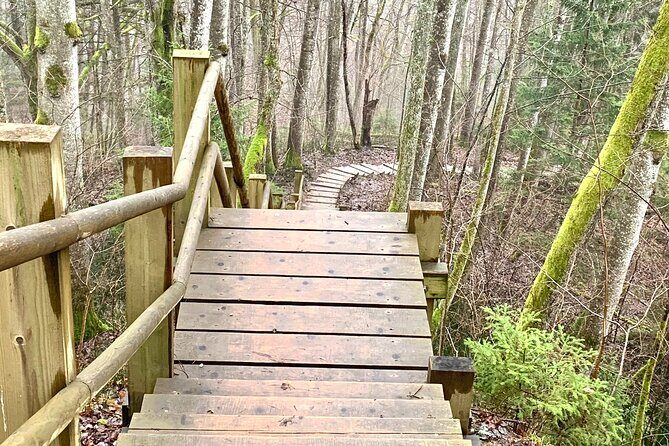 Private Day Tour to Sigulda, Turaida Castle and Soviet Bunker - The Cold War Mystery: Soviet Bunker