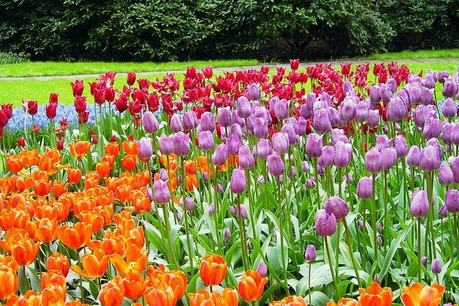 Private Day Trip from Amsterdam to Keukenhof with Entrance Tickets - Practical Details and Value