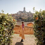 Private day trip from Florence to Pisa, San Gimignano and Siena - Pricing and Value