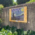 Private Day Trip to Arles Les Baux de Provence and Saint Remy de Provence - What’s Included and What’s Not