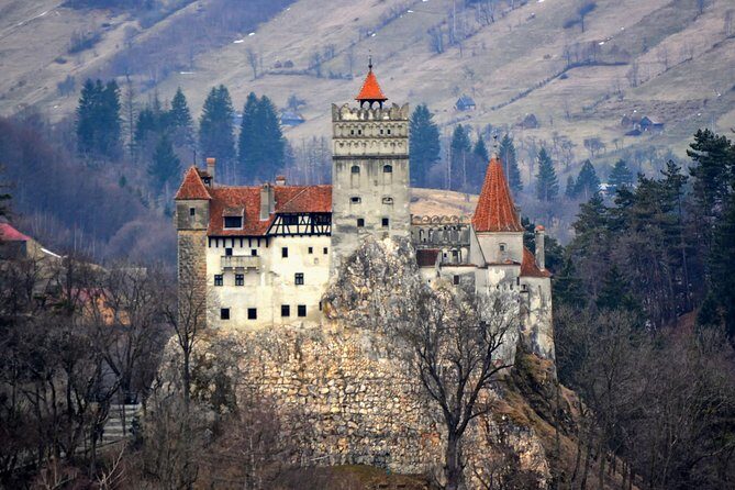 Private Day Trip to Transylvania: Dracula Castle, Royal Palace, Brasov Old Town - Who Should Consider This Tour