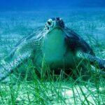 Private Discovery Dive + Photos & Videos - Why This Tour Stands Out