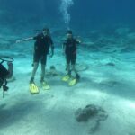 Private Diving Cyprus Experience Protaras and Ayia Napa & Turtles - Final Thoughts