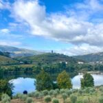 Private Douro Valley all inclusive: Tastings, Lunch & Boat - Who Will Love This Tour?