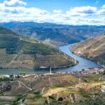 Private Douro Valley Tour: Boutique Winerie & River Cruise - Analyzing the Cost and Value