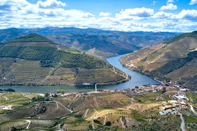 Private Douro Valley Tour: Boutique Winerie & River Cruise - Analyzing the Cost and Value