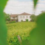 Private Douro Valley Tour with Lunch & Wines - A Deep Dive into the Douro Valley Experience