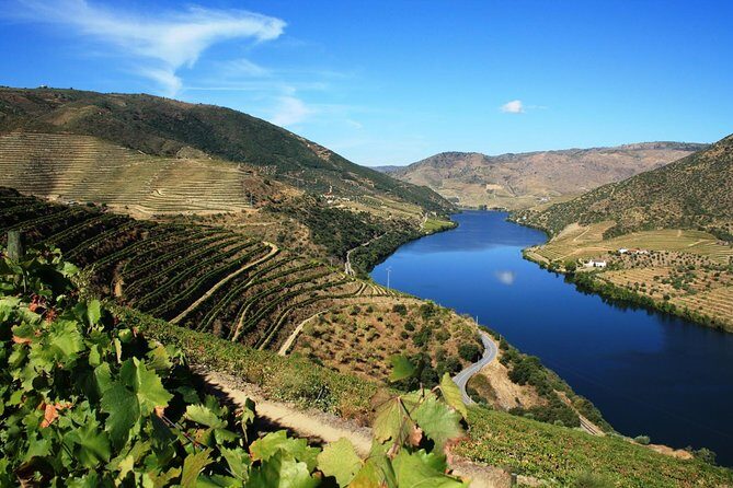 Private Douro Valley visit to three vineyards with Lunch from Porto - Practical Details and What to Expect