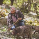 Private Driver & Chauffeur Service in Crete from Chania - Final Thoughts: Who Will Love This Experience?