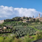 Private driver from Florence: Siena, San Gimignano, Pisa 12 hours - Authentic Insights from Past Travelers
