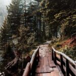 Private Durmitor National Park and Black Lake Tour - What Makes This Tour Stand Out