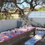 Private E-bike Guided Ode-yssey Uncharted Tour in Naxos - What Could Be Better?