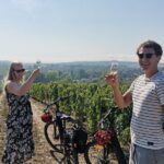 Private e-bike tour with a guide in the Vineyards of Chablis - Final Thoughts: The Value of This Chablis E-Bike Tour