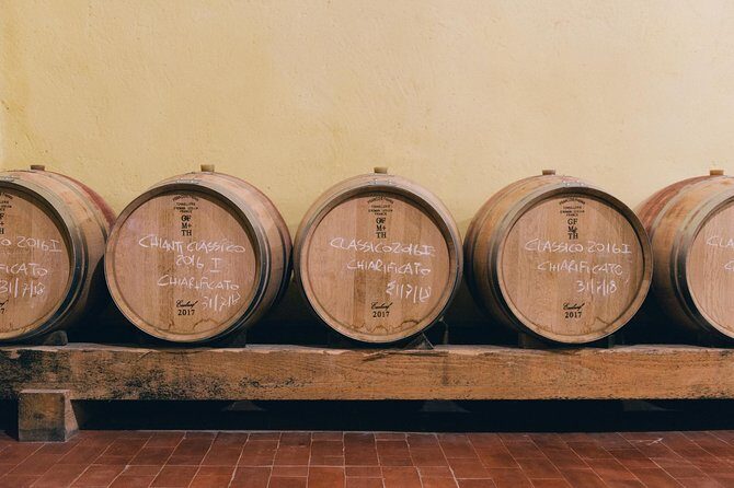 Private Ebike Tour in Chianti - The Sum Up