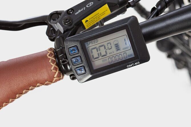 Private Electric Bike Tour through the City of Madrid - Templo de Debod and Panoramic Views