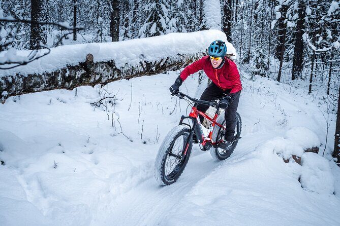 Private Electric Fat Bike Winter Tour in Rovaniemi - What’s Included and What to Consider