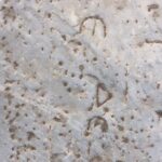 Private Ephesus Tour from Bodrum Port / Hotels - FAQs