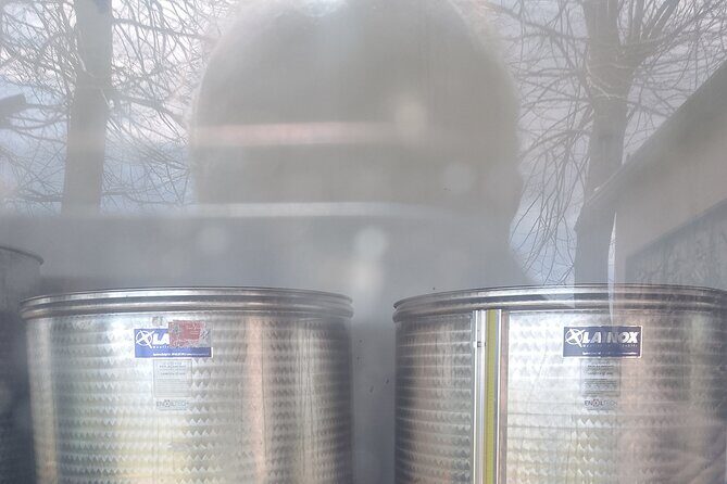 Private Etna tour with wine tasting and lunch - Who Will Love This Tour?