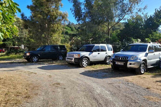 Private Exclusive Manousakis Winery and Vineyard Tour - Key Points