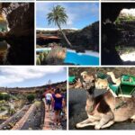 Private excursion in Lanzarote, minibus and guide available - What the Experience Includes and What to Consider