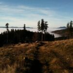 Private excursion: panorama and breath of fresh air at Mont-Sainte-Odile ! - FAQ