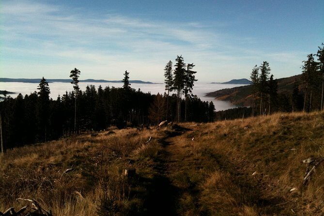 Private excursion: panorama and breath of fresh air at Mont-Sainte-Odile ! - FAQ