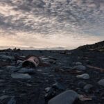 Private Exploration of The Snæfellsnes Peninsula - What’s Included and What’s Not