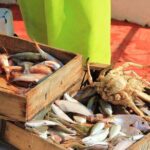 Private Fishing Tour From Athens With A Traditional Fishing Boat - An In-Depth Look at the Fishing Adventure