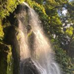 Private Full-Day 4x4 Tour to Nordeste & Povoaçao - What Makes This Tour Stand Out?