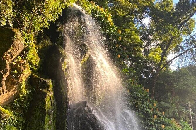 Private Full-Day 4x4 Tour to Nordeste & Povoaçao - What Makes This Tour Stand Out?