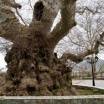 Private Full-Day Knossos-Lasithi Plateau-Cave of Zeus - Transportation & Comfort