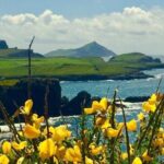Private Full Day Tour From Killarney - Ring of Kerry/Skellig - An In-Depth Look at the Tour Experience
