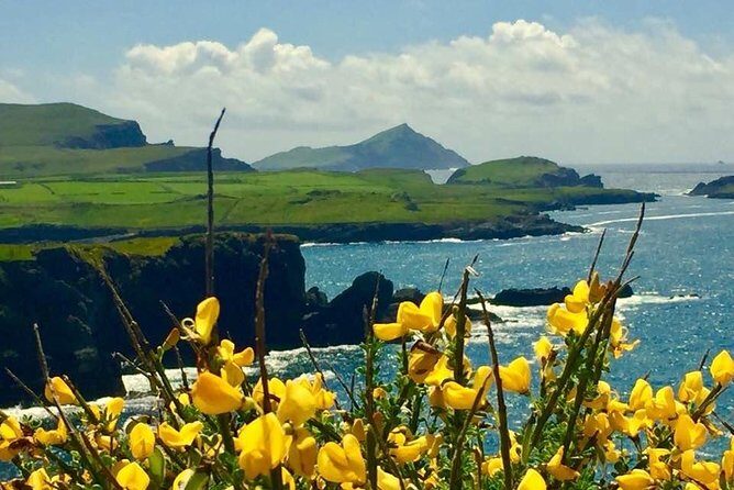 Private Full Day Tour From Killarney - Ring of Kerry/Skellig - An In-Depth Look at the Tour Experience