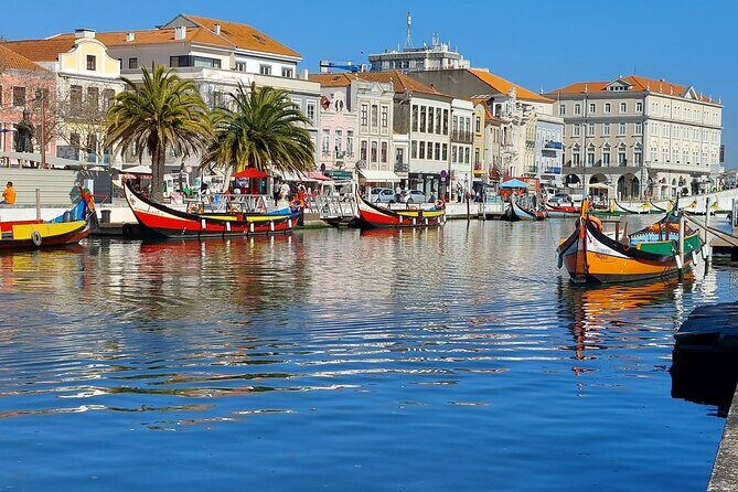 Private Full day Tour to Aveiro and Porto - Pricing and Value
