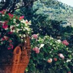 Private full day tour to Capri with grottos - The Value and Practicalities