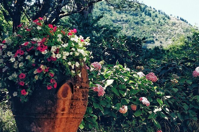 Private full day tour to Capri with grottos - The Value and Practicalities