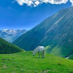 Private Full-Day Tour to Mtskheta and Kazbegi(stepantsminda) from Tbilisi - Transportation and Comfort