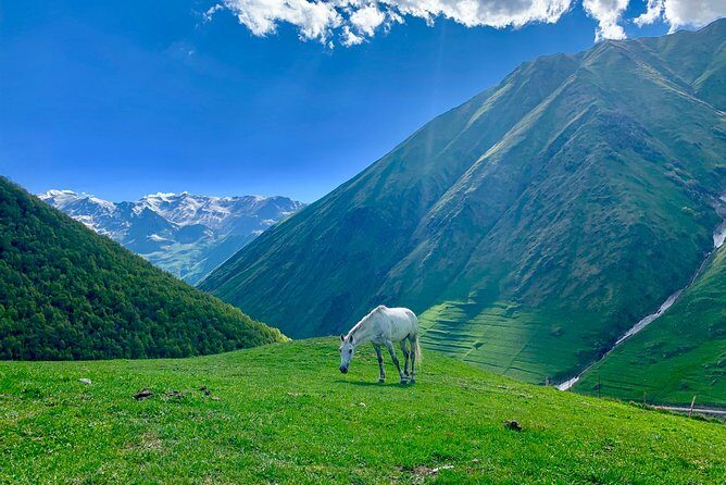 Private Full-Day Tour to Mtskheta and Kazbegi(stepantsminda) from Tbilisi - Transportation and Comfort