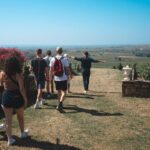 Private Full Day Wine and Food Tour from Lyon in Beaujolais - Transportation, Timing, and Overall Experience