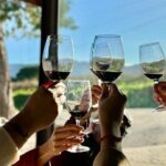 Private Full-Day Wine Tour Arrábida from Lisbon with Tastings - Vineyard Visits and Tastings